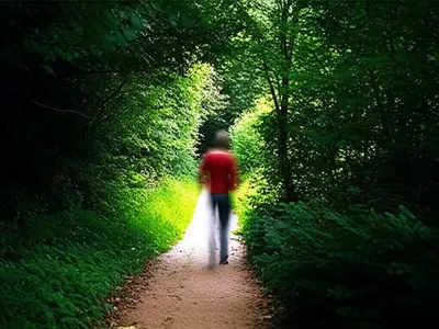 Illustration hovering - Image 1