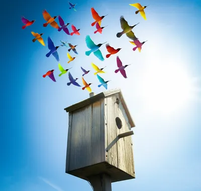 Illustration posts - Image 1