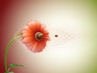 Illustration reset - Image 1