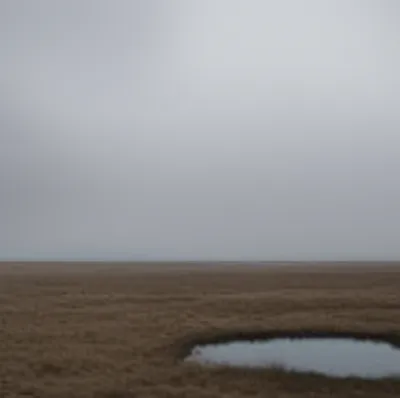 Illustration dull - Image 1