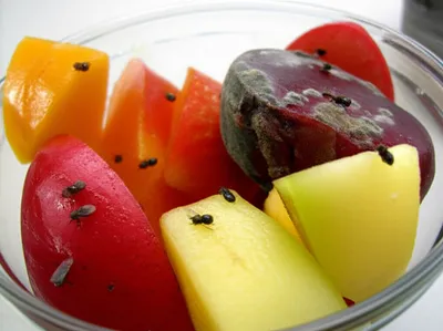 Illustration spoilt - Image 1