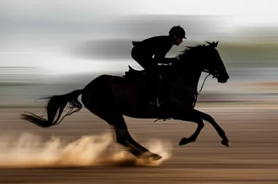 Illustration pricking - Image 1