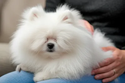 Illustration shocks - Image 1