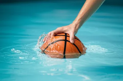 Illustration dove - Image 1