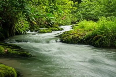 Illustration durative - Image 1