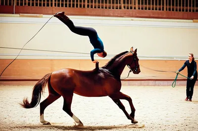 Illustration vaulting - Image 1