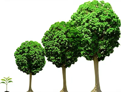 Illustration tripled - Image 1