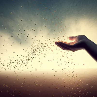 Illustration broadcast - Image 1