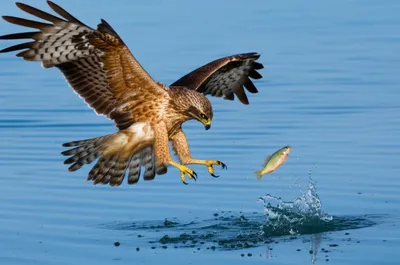 Illustration clicking - Image 1