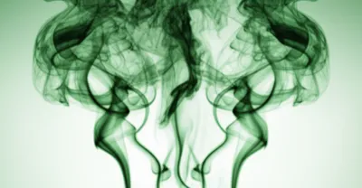 Illustration stinking - Image 1