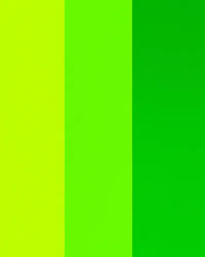 Illustration green - Image 1