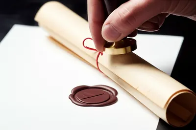 Illustration seal - Image 1