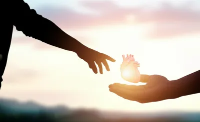 Illustration transplanting - Image 1