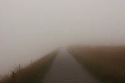 Illustration uncertain - Image 1