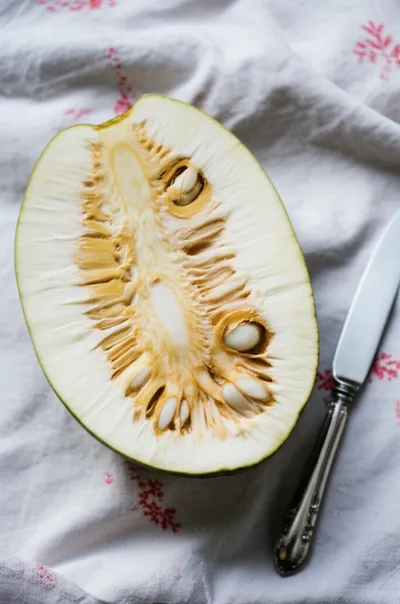 Illustration ulu - Image 1