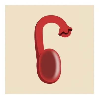 Illustration reared - Image 1