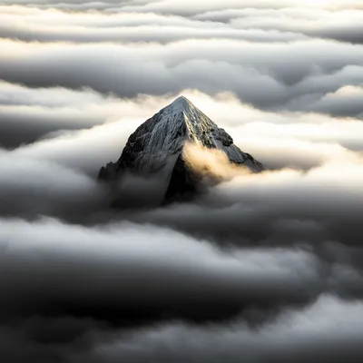 Illustration head - Image 1