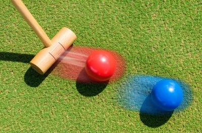 Illustration roquet - Image 1