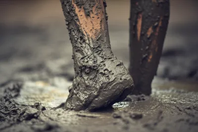 Illustration sticking - Image 1