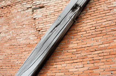 Illustration brace - Image 1