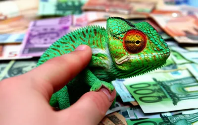 Illustration tricking - Image 1