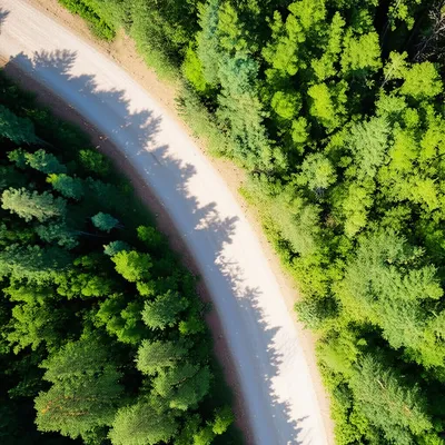 Illustration tracks - Image 1