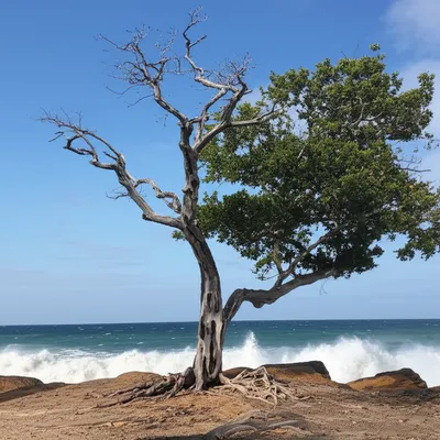 Illustration weather - Image 1