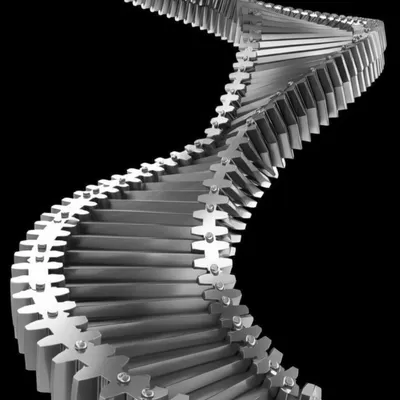 Illustration ratchets - Image 1