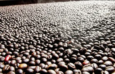 Illustration roasting - Image 1