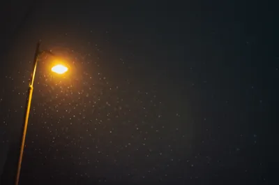 Illustration flurry - Image 1