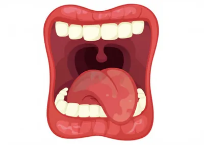 Illustration palatalize