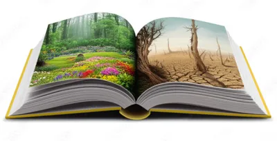 Illustration domination - Image 1