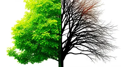 Illustration impairing - Image 1