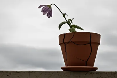 Illustration hopeless - Image 1