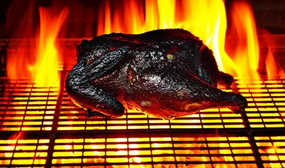 Illustration roasting - Image 1