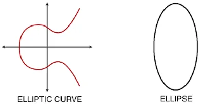 Illustration elliptical - Image 2