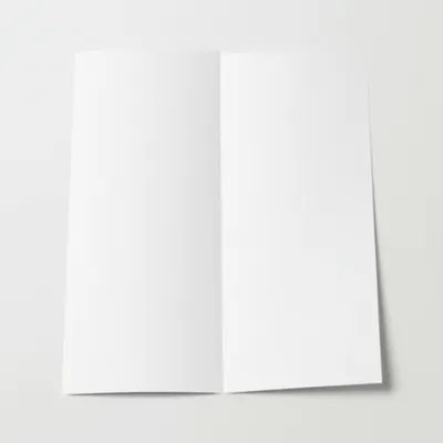 Illustration folios - Image 1