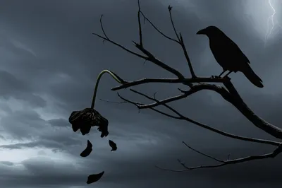 Illustration prodromes - Image 1