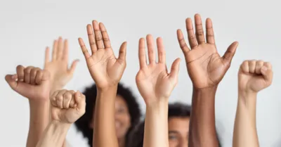 Illustration rights - Image 1