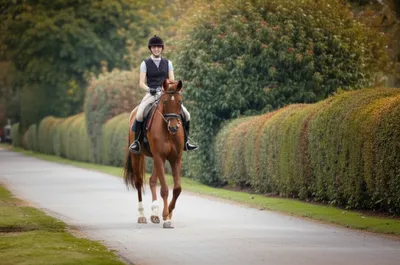 Illustration hacked - Image 1