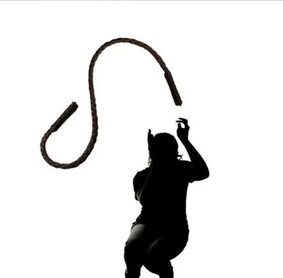 Illustration hiding - Image 1