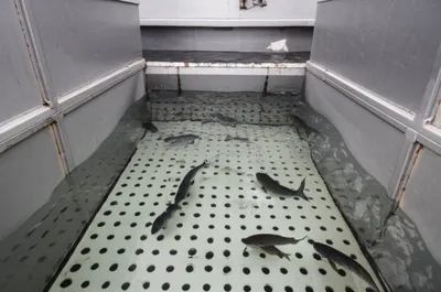 Illustration well - Image 1