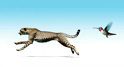 Illustration fastest - Image 1