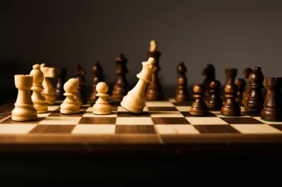 Illustration posit - Image 1