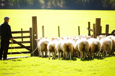 Illustration convincing - Image 1