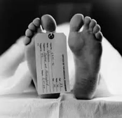 Illustration perish - Image 3