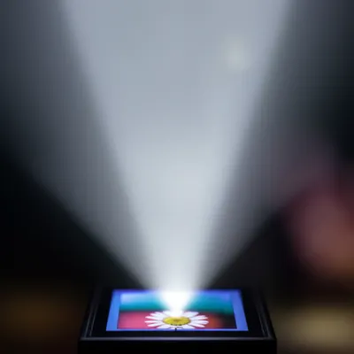 Illustration focusses - Image 1