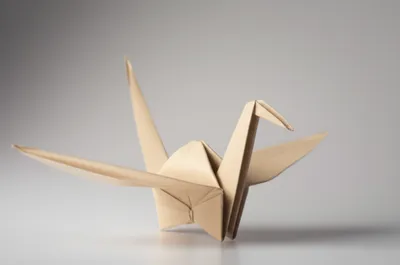 Illustration origami - Image 1