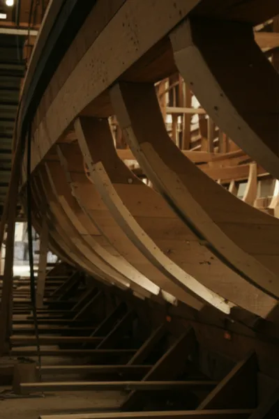 Illustration belly - Image 1