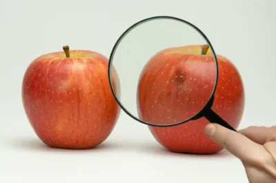 Illustration discerning - Image 1